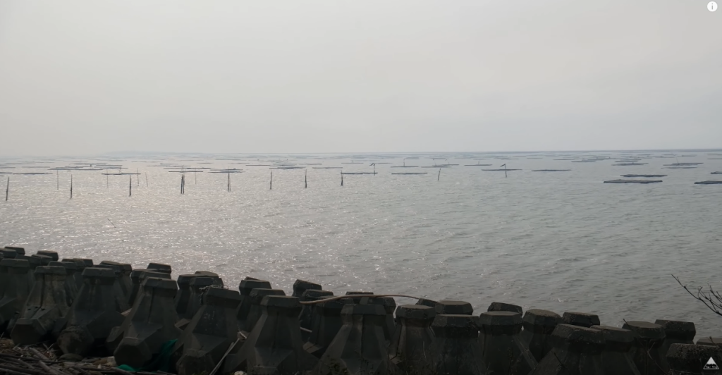 口湖海口故事園區海面視角