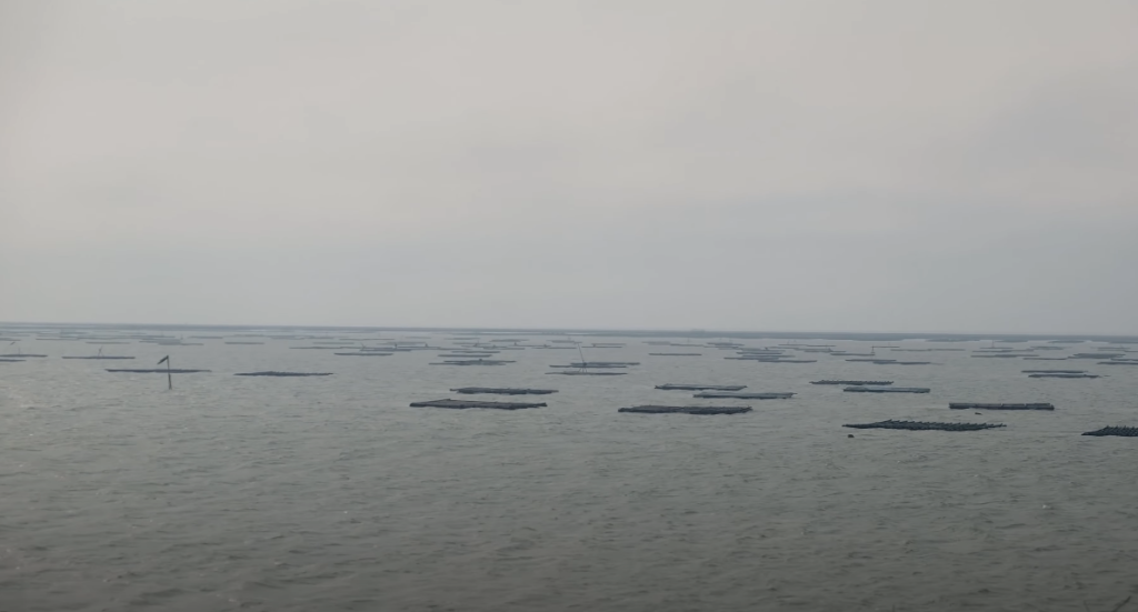 口湖海口故事園區堤防蚵棚景色